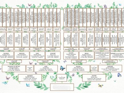 Arbre papillon A2 6 générations GM anonymé