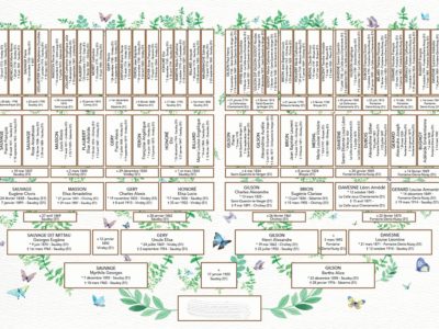 Arbre papillon A2 6 générations GM anonymé